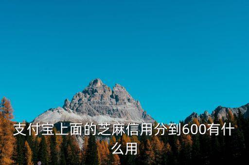 支付寶上面的芝麻信用分到600有什么用