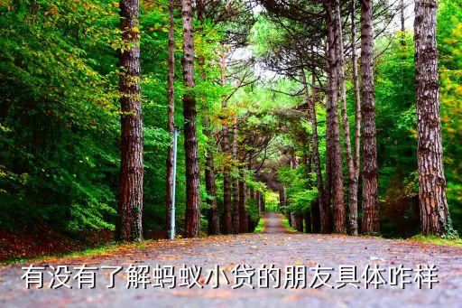 螞蟻通貸怎么樣，有沒有了解螞蟻小貸的朋友具體咋樣