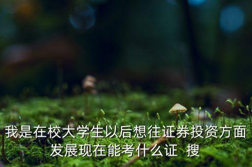 我是在校大學(xué)生以后想往證券投資方面發(fā)展現(xiàn)在能考什么證  搜