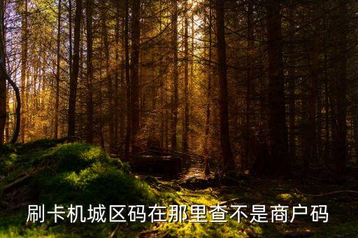 刷的什么商戶看什么碼，信用卡的商戶類別代碼如何查看