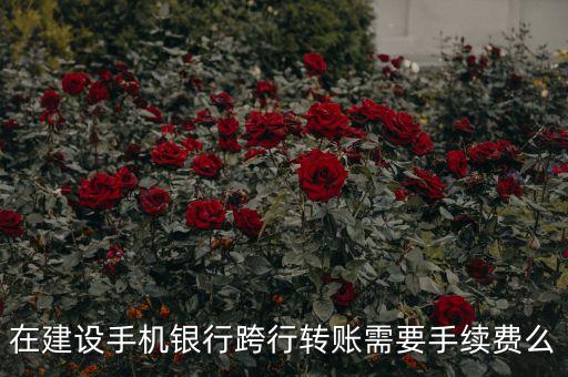 在建設(shè)手機(jī)銀行跨行轉(zhuǎn)賬需要手續(xù)費(fèi)么