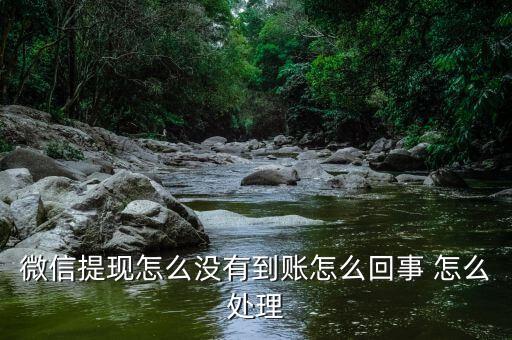 微信提現(xiàn)怎么沒有到賬怎么回事 怎么處理