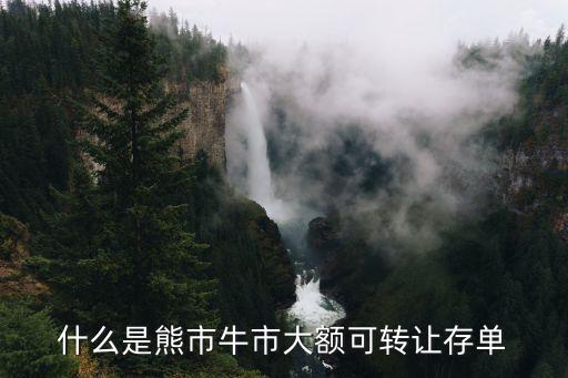 什么是熊市牛市大額可轉(zhuǎn)讓存單