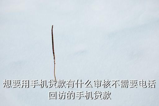 想要用手機(jī)貸款有什么審核不需要電話回訪的手機(jī)貸款