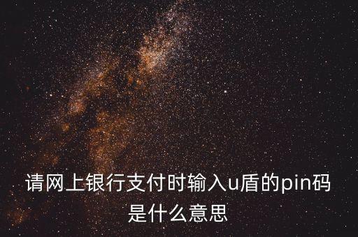 工行u盾pin碼是什么，工行的U盾PIN碼是什么