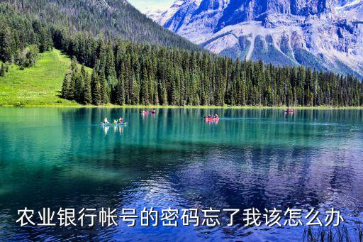 農(nóng)業(yè)銀行個人登陸密碼忘了怎么辦，農(nóng)業(yè)銀行帳號的密碼忘了我該怎么辦