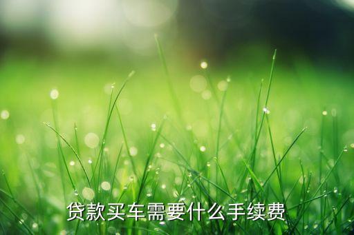 分期付款買車都要什么手續(xù)費(fèi)多少錢，請(qǐng)問分期付款買車都需要繳納什么費(fèi)用購置稅保險(xiǎn)上牌費(fèi)