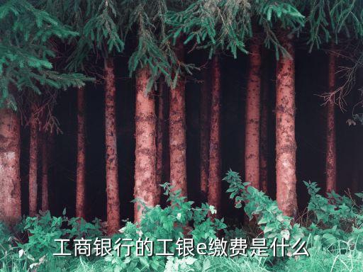 工行e繳費(fèi)是什么情況，工銀e繳費(fèi)收費(fèi)標(biāo)準(zhǔn)