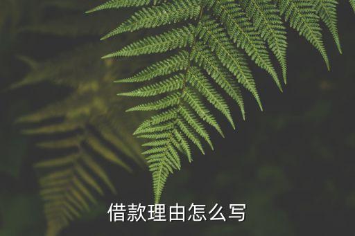 個人貸款什么理由最好，貸款申請事由