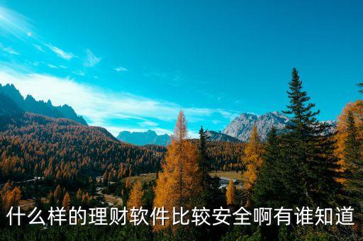 什么樣的理財(cái)軟件比較安全啊有誰知道