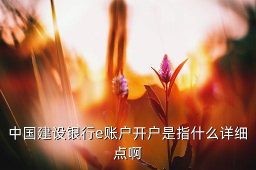 中國建設(shè)銀行e賬戶開戶是指什么詳細(xì)點(diǎn)啊