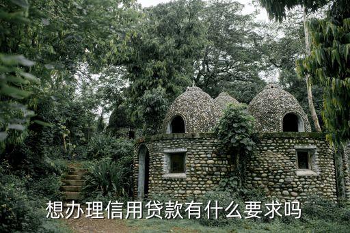 想辦理信用貸款有什么要求嗎