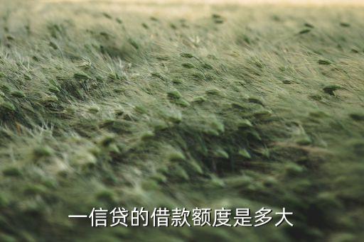 一信貸是什么公司，一信貸款是真的嗎