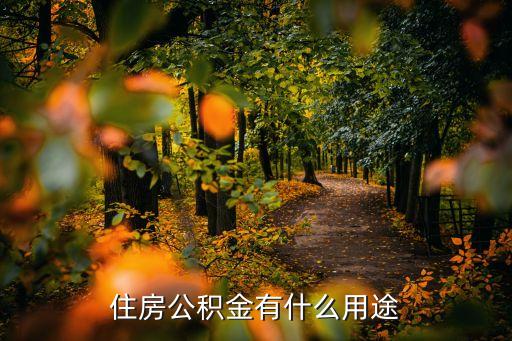 繳住房公積金有什么用，住房公積金到底有什么用很重要嗎