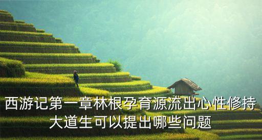 西游記第一章林根孕育源流出心性修持大道生可以提出哪些問(wèn)題