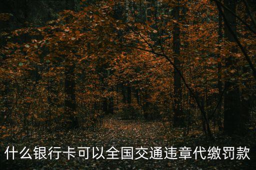 交罰款用什么銀行卡，什么銀行卡可以全國交通違章代繳罰款