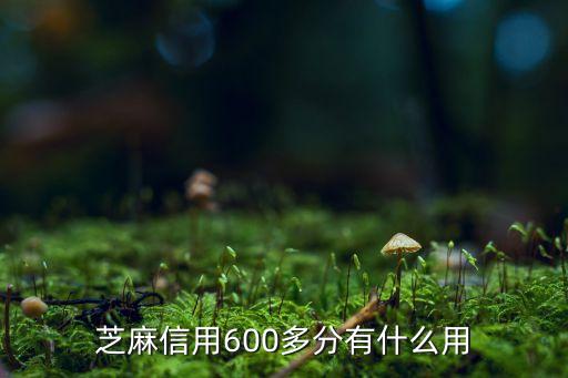 芝麻信用600多分有什么用