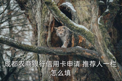 信用卡推廣人填什么人，建行卡申請的時候那營銷人員信息怎么填寫
