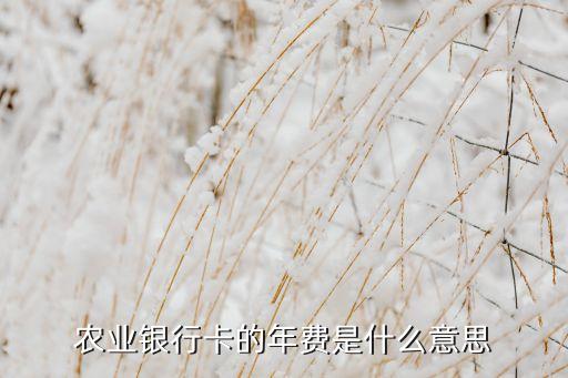 農(nóng)業(yè)銀行卡的年費是什么意思