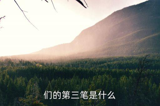 票第三筆是什么樣的，送的第三筆是什么樣的