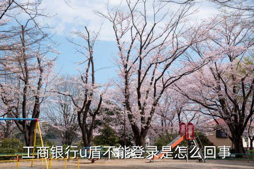 工商銀行u盾不能登錄是怎么回事