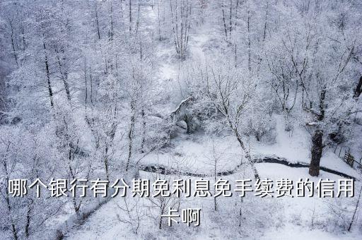 哪個銀行有分期免利息免手續(xù)費(fèi)的信用卡啊