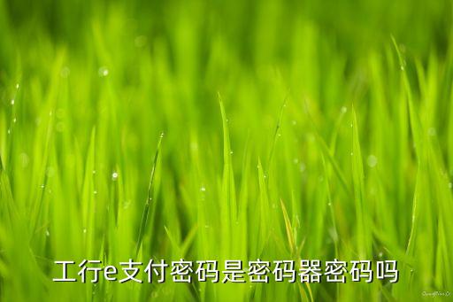工行e支付密碼是密碼器密碼嗎
