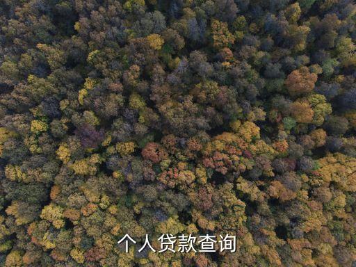 個(gè)人貸款查詢