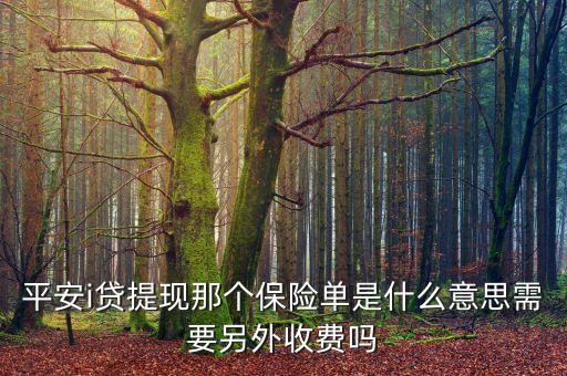 平安i貸保險(xiǎn)費(fèi)是什么意思，你好申請(qǐng)平安普惠i貸需要購(gòu)買借款保證保險(xiǎn)是什么意思