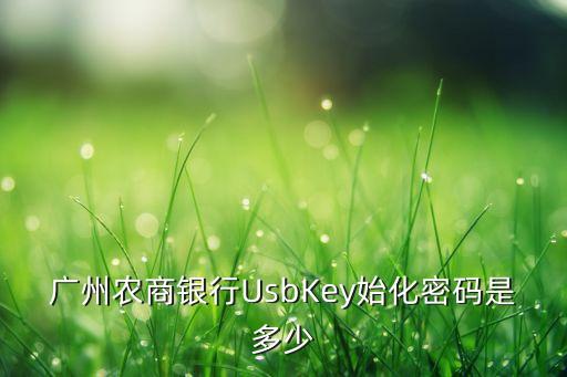 廣州農(nóng)商銀行UsbKey始化密碼是多少