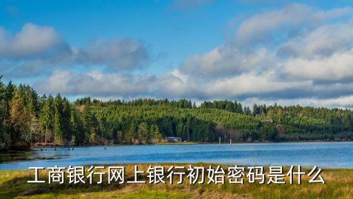 工行初次登陸密碼是什么，工商銀行注冊(cè)網(wǎng)上銀行登陸密碼是什么