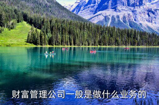 財富公司 干什么，財富管理公司一般是做什么業(yè)務(wù)的