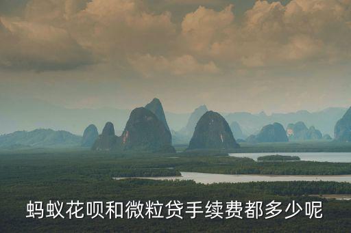 微粒貸手續(xù)費什么意思，手機管家的微粒貸可以分期還款嗎