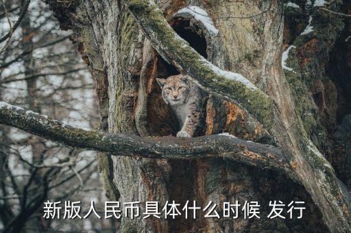 新版人民幣具體什么時(shí)候 發(fā)行