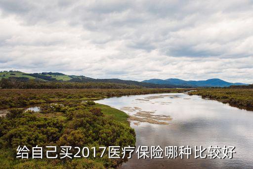 給自己買2017醫(yī)療保險哪種比較好