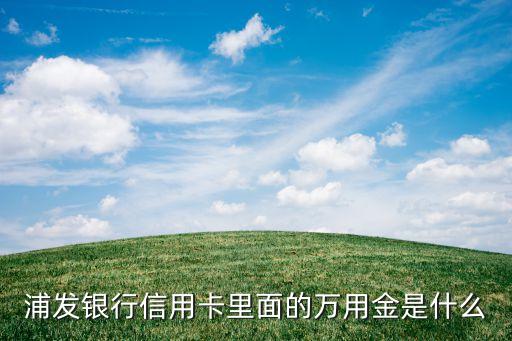 浦發(fā)萬用金有什么作用，浦發(fā)銀行信用卡里面的萬用金是什么