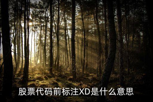 股票代碼前標(biāo)注XD是什么意思