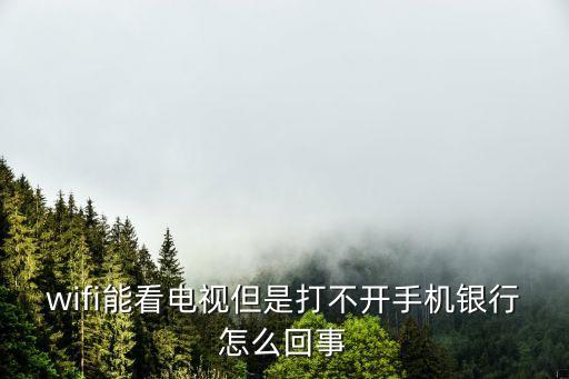 為什么打不開手機銀行賬戶，我的手機銀行為什么打不開