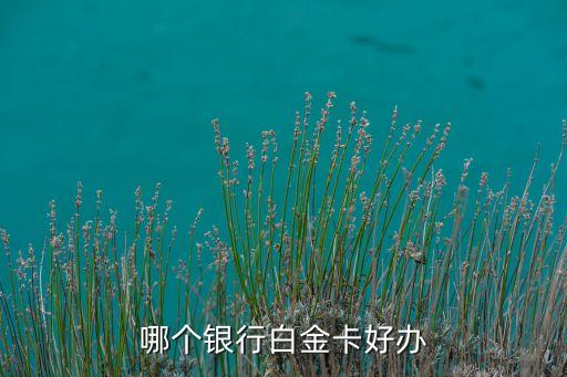 哪個銀行白金卡好辦