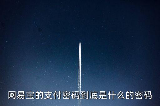 網(wǎng)易寶的支付密碼到底是什么的密碼