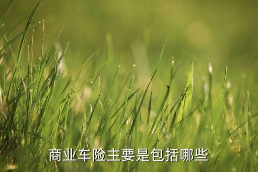 汽車保險(xiǎn)商業(yè)險(xiǎn)有什么，汽車商業(yè)險(xiǎn)包括哪些