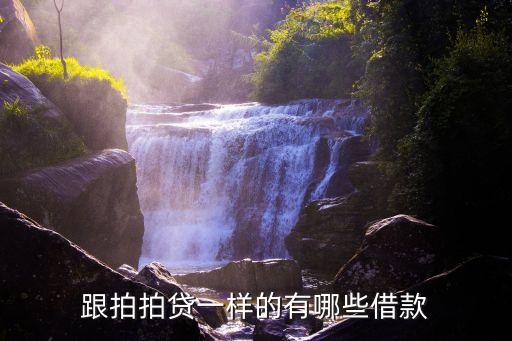 跟拍拍貸一樣的有哪些借款