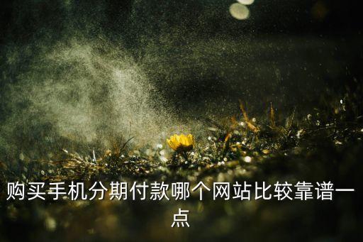 購買手機(jī)分期付款哪個(gè)網(wǎng)站比較靠譜一點(diǎn)
