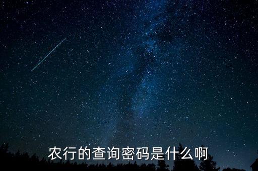農行的查詢密碼是什么啊