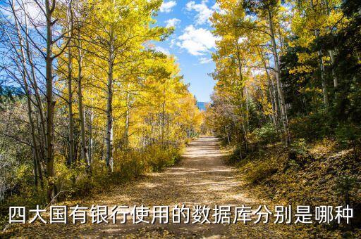 四大國有銀行使用的數(shù)據(jù)庫分別是哪種