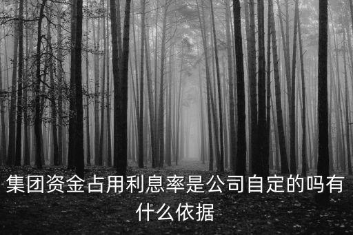 集團(tuán)資金占用利息率是公司自定的嗎有什么依據(jù)
