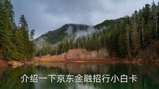 招行小白卡是什么，招商銀行小白卡網(wǎng)申的這是啥意思