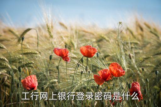 個人工行網(wǎng)銀登錄密碼是什么原因，中國工商銀行個人網(wǎng)上銀行登錄密碼是什么