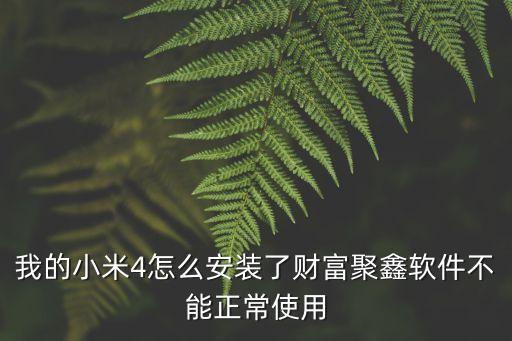 我的小米4怎么安裝了財(cái)富聚鑫軟件不能正常使用