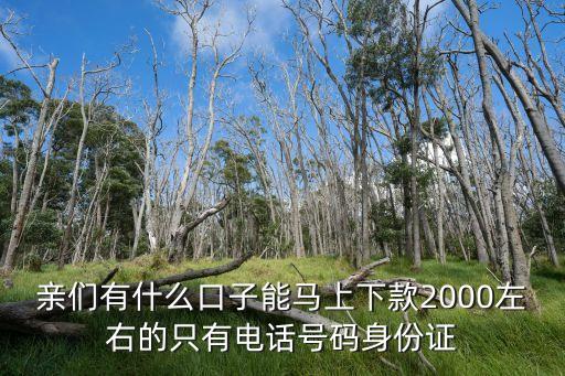 親們有什么口子能馬上下款2000左右的只有電話號碼身份證